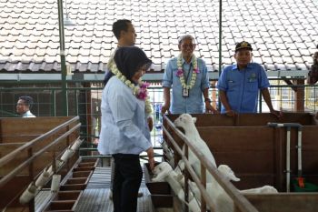 Bupati Sleman sebut pertanian berkontribusi besar pada perkembangan ekonomi