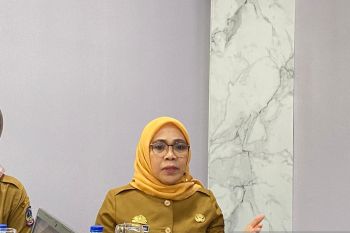 Sapi kurban Presiden Jokowi seberat 1 ton akan disembelih di Bone