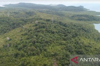 Pemerintah targetkan investasi KEK Tanjung Sauh capai Rp199,6 T