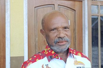 Pemkot Jayapura mengirim sampel darah ternak babi ke Makassar