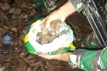 Pamtas sita karung berisi sisik trenggiling di batas RI-Malaysia