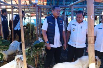 Jelang Idul Adha, Satgas Pangan Polda pastikan hewan kurban bebas penyakit