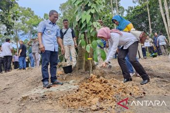 25 jenis buah hutan endemik ditanam di Kebun Raya Bulungan