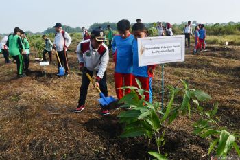 Penanaman pohon mangga di Madiun