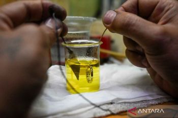 Harga emas hari ini merosot, ini daftar harganya