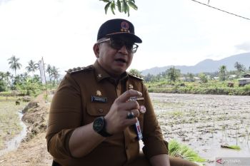 Padang tindak tegas ASN yang terindikasi bermain judi "online"