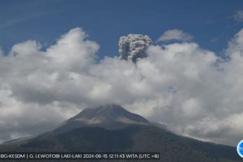 Badan Geologi sebut warga sisi barat daya Lewotobi waspada abu vulkanik