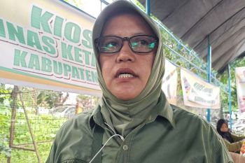 Pemkab Parigi pastikan ketahanan pangan daerah 2024 memadai