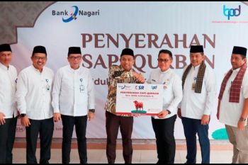 Bank Nagari salurkan sapi kurban dilingkungan dan daerah terdampak bencana