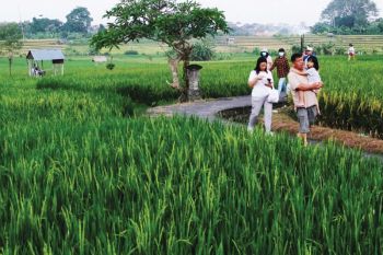 DENPASAR SIAPKAN TIGA DESTINASI WISATA UNTUK DELEGASI WWF