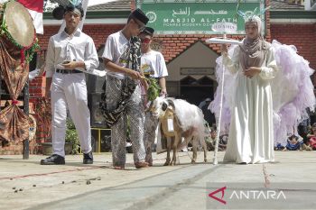 Festival rias domba di pesantren