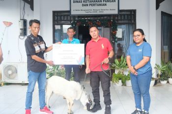PLN serahkan hewan kurban perkuat silaturahmi dengan pemda