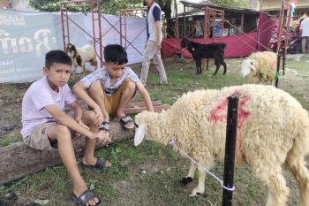 NU Bandarlampung ajak warga salurkan daging ke daerah minim hewan kurban