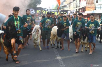 Tradisi pawai hewan kurban