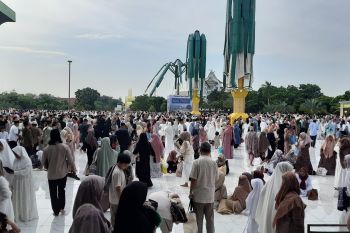 Masjid Raya An Nur Pekanbaru terima 14 sapi dan 1 kambing kurban