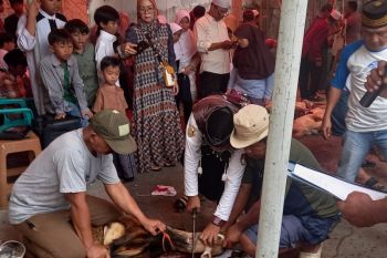Idul Adha, Dewan Dakwah Lampung sebar ratusan hewan kurban