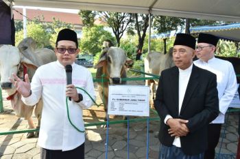 Pj Gubernur: Jumlah hewan kurban di Jatim alami peningkatan