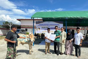 Bandara Mutiara Palu distribusi 25 hewan kurban untuk wilayah sekitar bandara