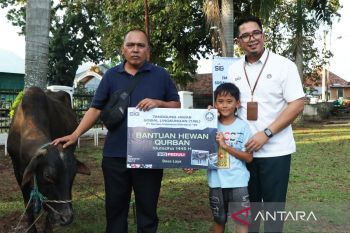 Semen Baturaja distribusikan 12  sapi kurban untuk warga sekitar area operasional
