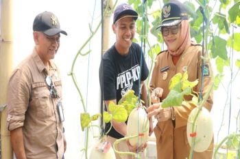 Kulon Progo kurasi produk pertanian supaya naik kelas