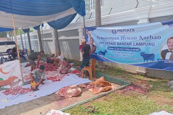 Peradi Bandarlampung salurkan 700 kupon hewan kurban kepada masyarakat