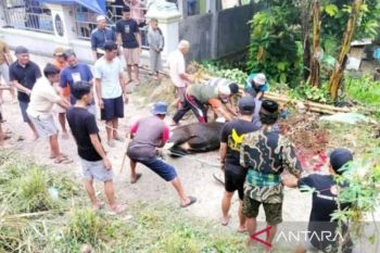 Warga nonmuslim dapat pembagian daging kurban di Tana Toraja