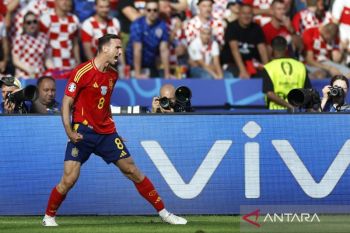 Pelatih Luis de la Fuente sebut Ruiz pemain berpengaruh di gaya permainan Spanyol