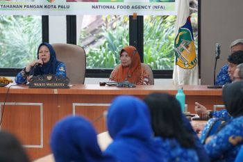 Pemkot Palu: Diversifikasi pangan perlu jaga ketahanan pangan daerah