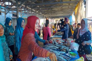 PKK Provinsi Sulbar kampanyekan makan ikan segar