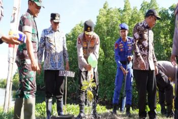 Polda Sulbar galakkan penanaman pohon guna perkuat ketahanan pangan