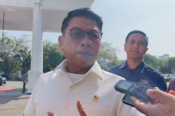 Legalisasi tanaman kratom dibahas Presiden dan menteri