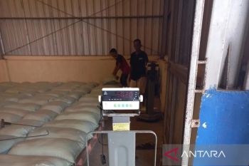 7.000 ton beras petani di OKU Timur diserap Bulog