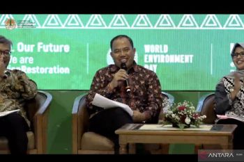 Support increasing Gen Z The Environment and Forestry