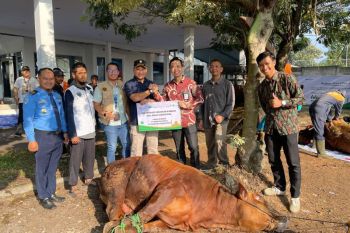 Pengelola Bandara Radin Inten II salurkan kurban bersama Dompet Dhuafa Lampung
