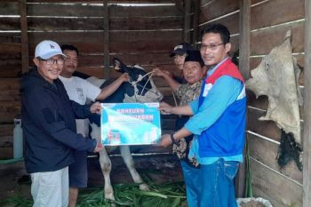 PGE bagikan hewan kurban di sekitar areal operasi