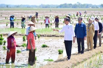 Presiden Jokowi cek pompanisasi pertanian Kotim pastikan berjalan baik