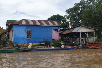 Dinas Kelautan dan Perikanan Sumsel  kembangkan kampung budidaya ikan