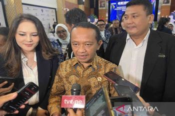 BASF dan Eramet tunda investasi baterai di Maluku Utara