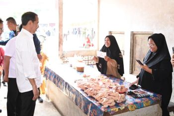 Jokowi reviews food prices in C Kalimantan's Barito district