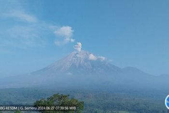 Semeru kembali erupsi dengan tinggi letusan hingga 900 meter
