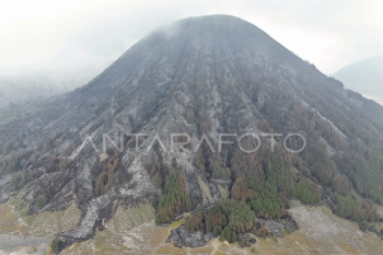 Luas lahan terdampak kebakaran Gunung Bromo
