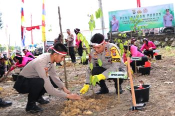 Penanaman Pohon Dalam Rangka HUT Bhayangkara Ke-78 oleh Polda Kaltara