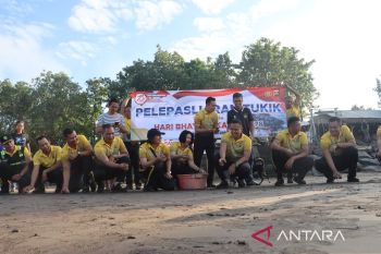 Polres Jembrana lepaskan 150 tukik ke laut