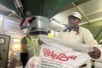 Bapanas mengingatkan industri gula rancang strategi tantangan global