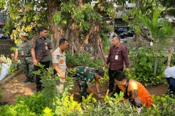 Pemkot Jakarta Pusat tanam ratusan pohon di Johar Baru untuk kurangi polusi