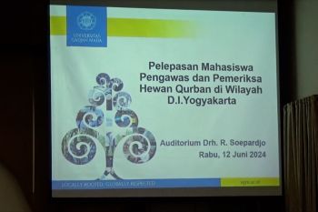 UGM terjunkan mahasiswa dampingi penyembelihan hewan kurban