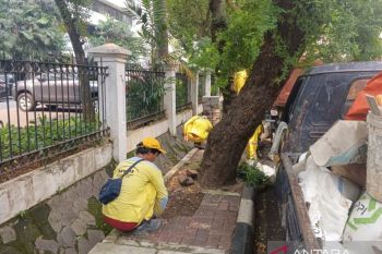 Jakpus menggiatkan penataan kawasan unggulan di Petojo Selatan