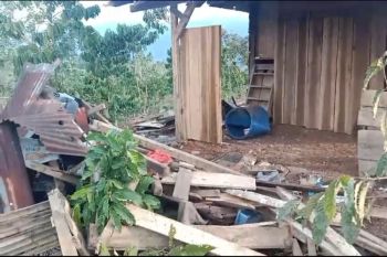 Konflik gajah liar dengan warga di Lampung Barat perlu penanganan cepat