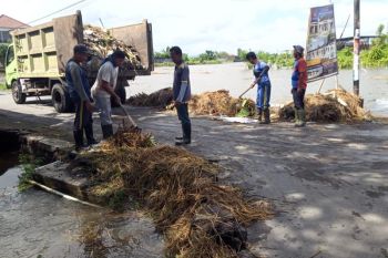 Petugas bersihkan sampah lumpur sisa banjir di Mataram