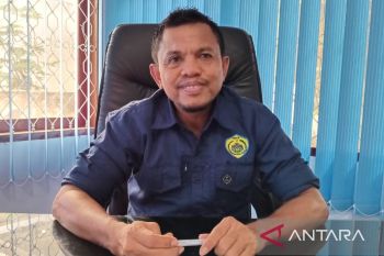 40 hektare sawah di Baubau gagal tumbuh akibat banjir